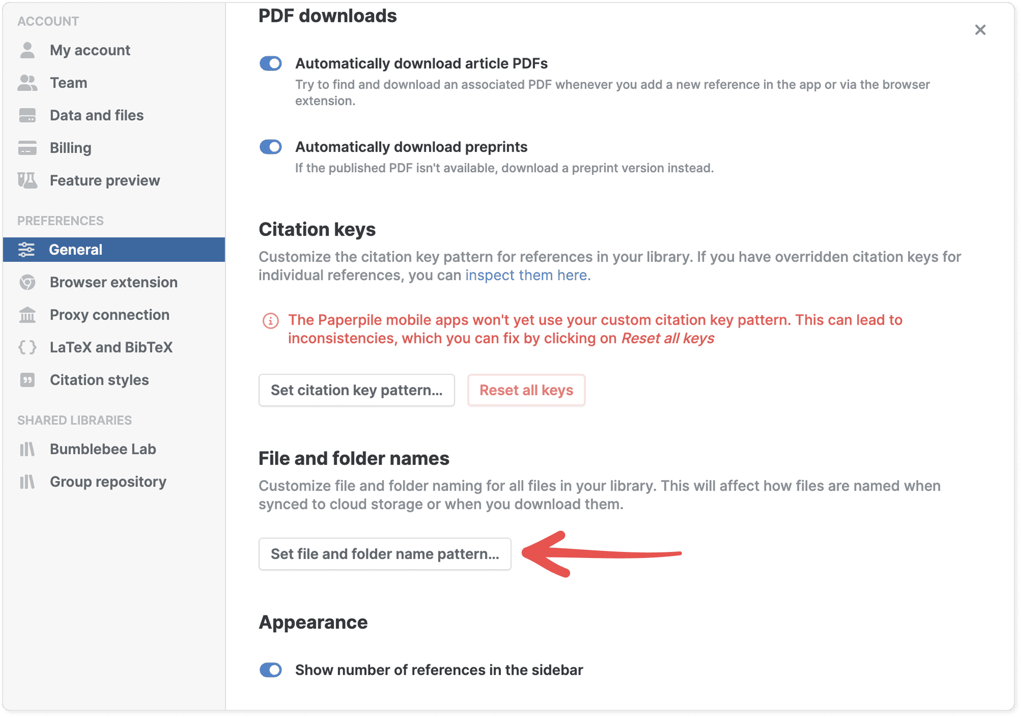 Settings › General with PDF downloads and Citation keys sections above “File and folder names”, where a red arrow points to the “Set file and folder name pattern…” button.